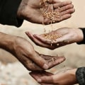 Exploring the Role of the Church in Serving the Poor and Needy
